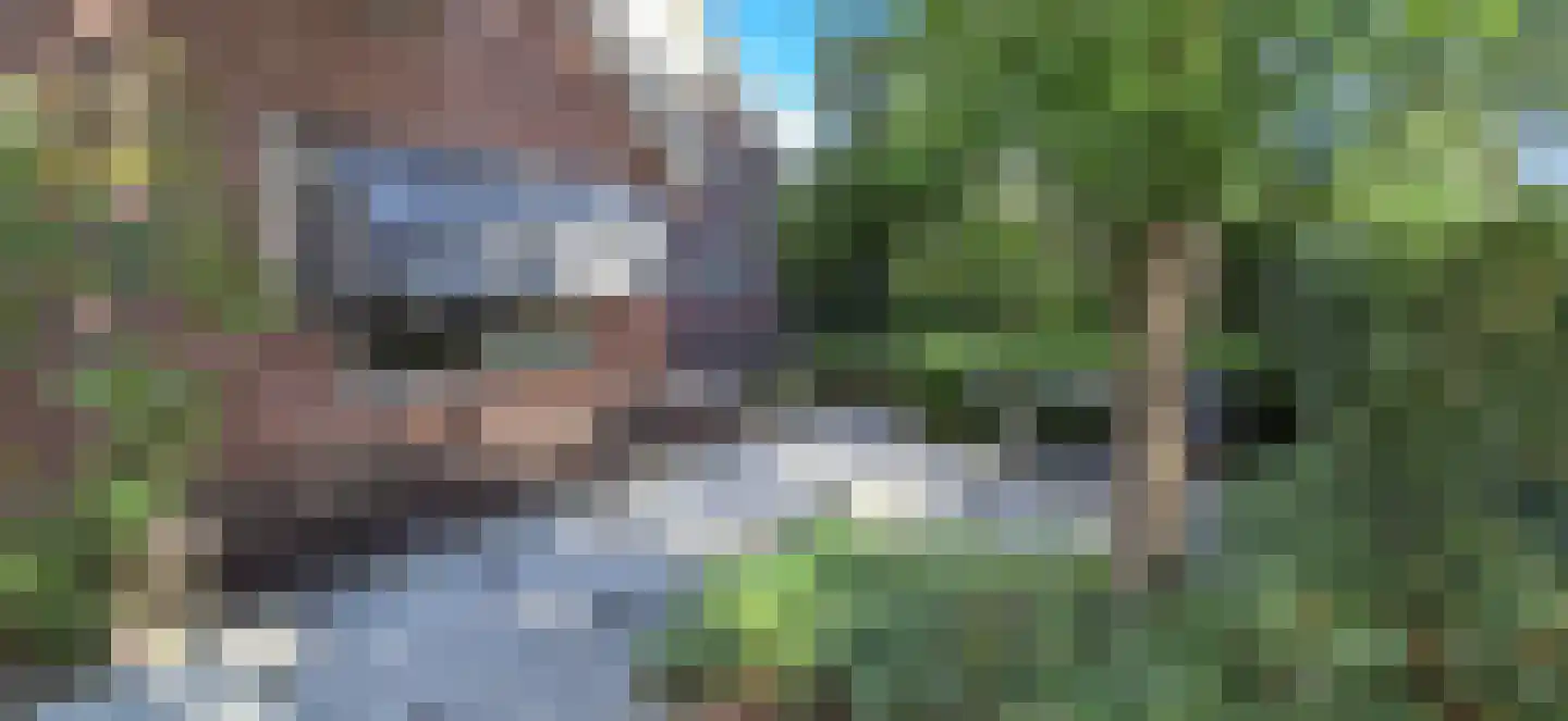 Pastoor Cleerbesemlaan 9 't Veld thumbnail 63