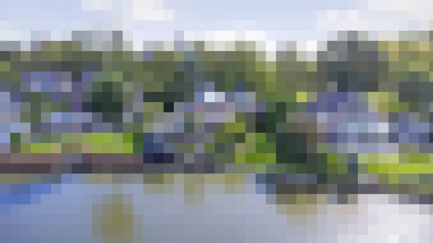 Pastoor Cleerbesemlaan 9 't Veld thumbnail 64