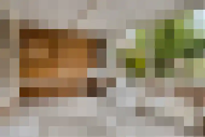 Pastoor Cloquetstraat 2 Swalmen thumbnail 15