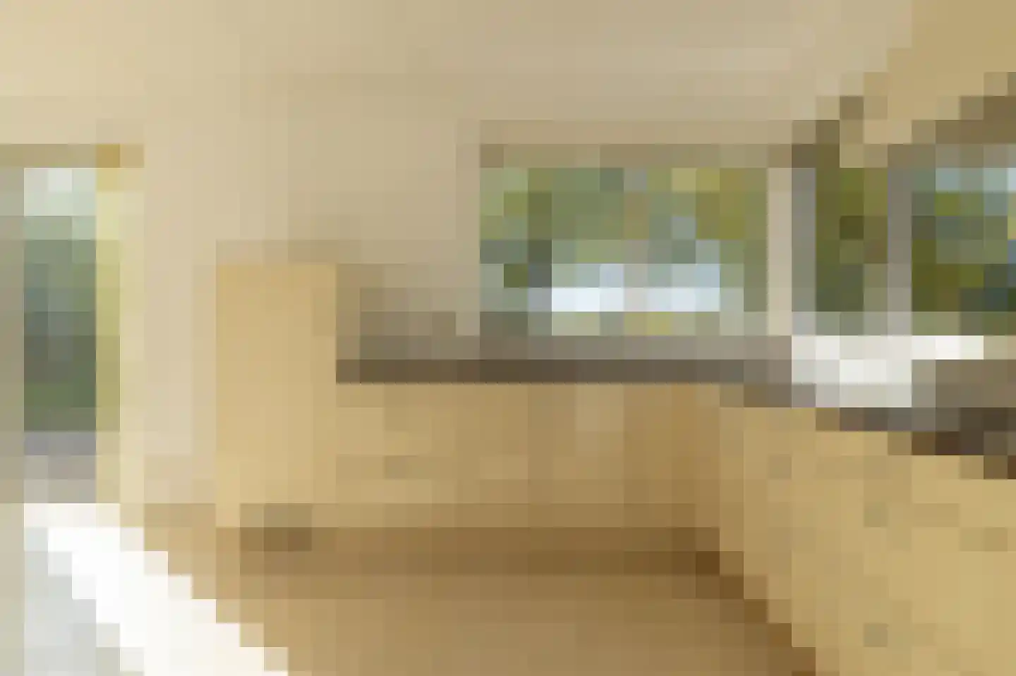 Pastoor Coendershôf 3 Bakhuizen thumbnail 12