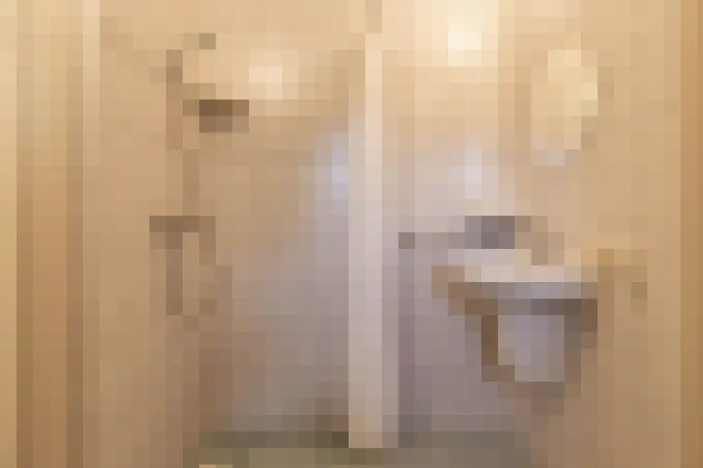 Pastoor Coendershôf 3 Bakhuizen thumbnail 13