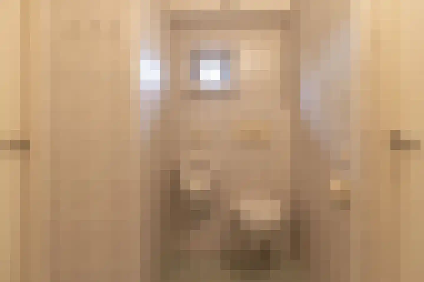 Pastoor Coendershôf 3 Bakhuizen thumbnail 14