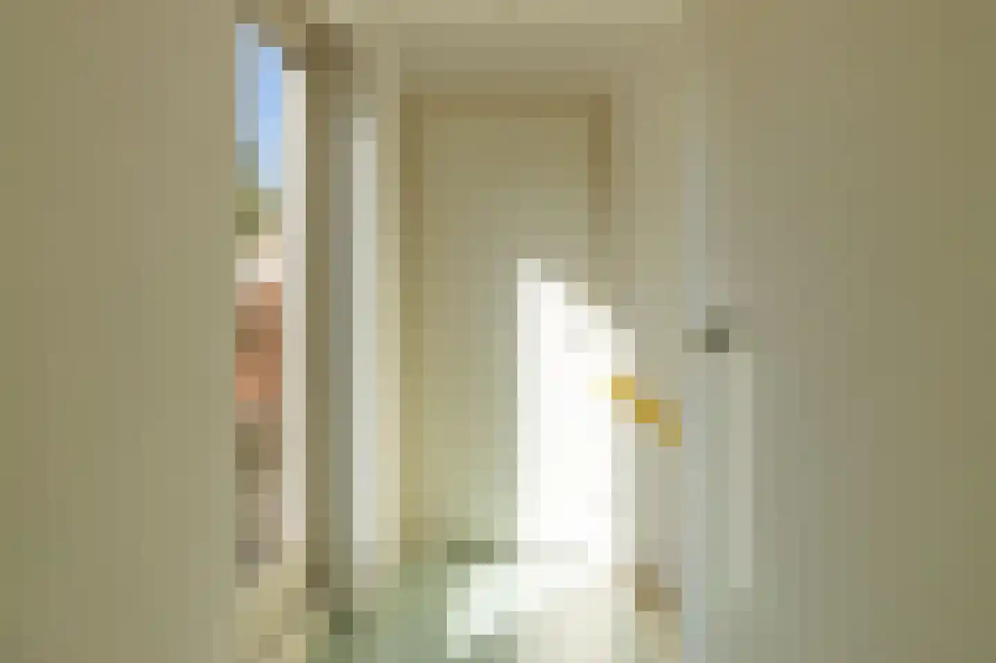 Pastoor Coendershôf 3 Bakhuizen thumbnail 25