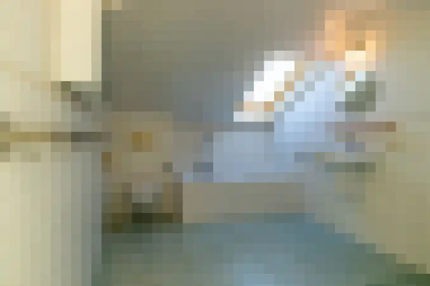 Pastoor Coendershôf 3 Bakhuizen thumbnail 26