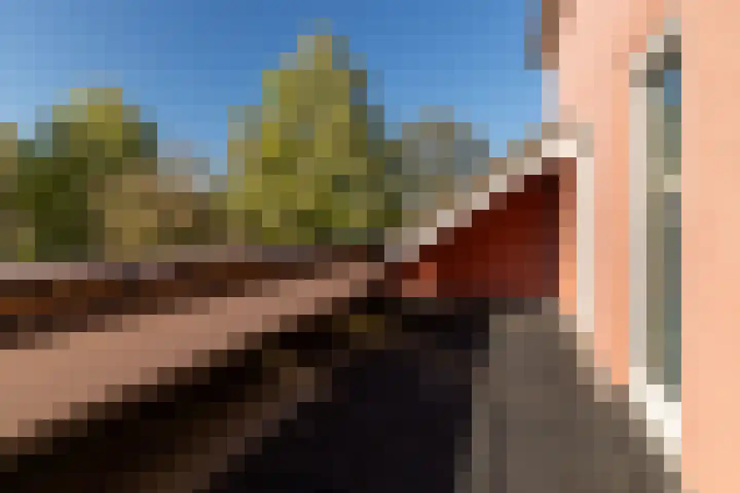 Pastoor Coendershôf 3 Bakhuizen thumbnail 28