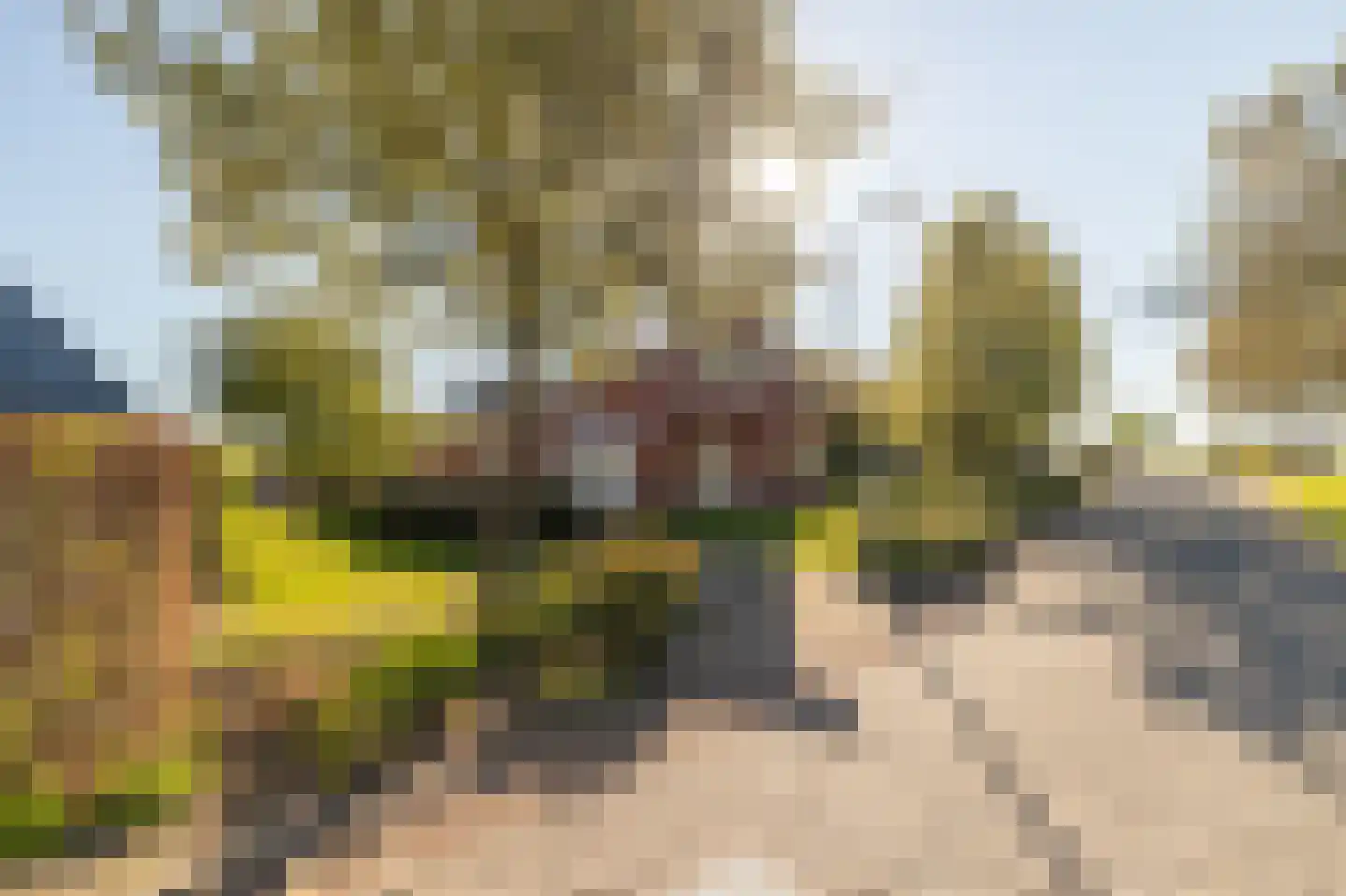 Pastoor Coendershôf 3 Bakhuizen thumbnail 29