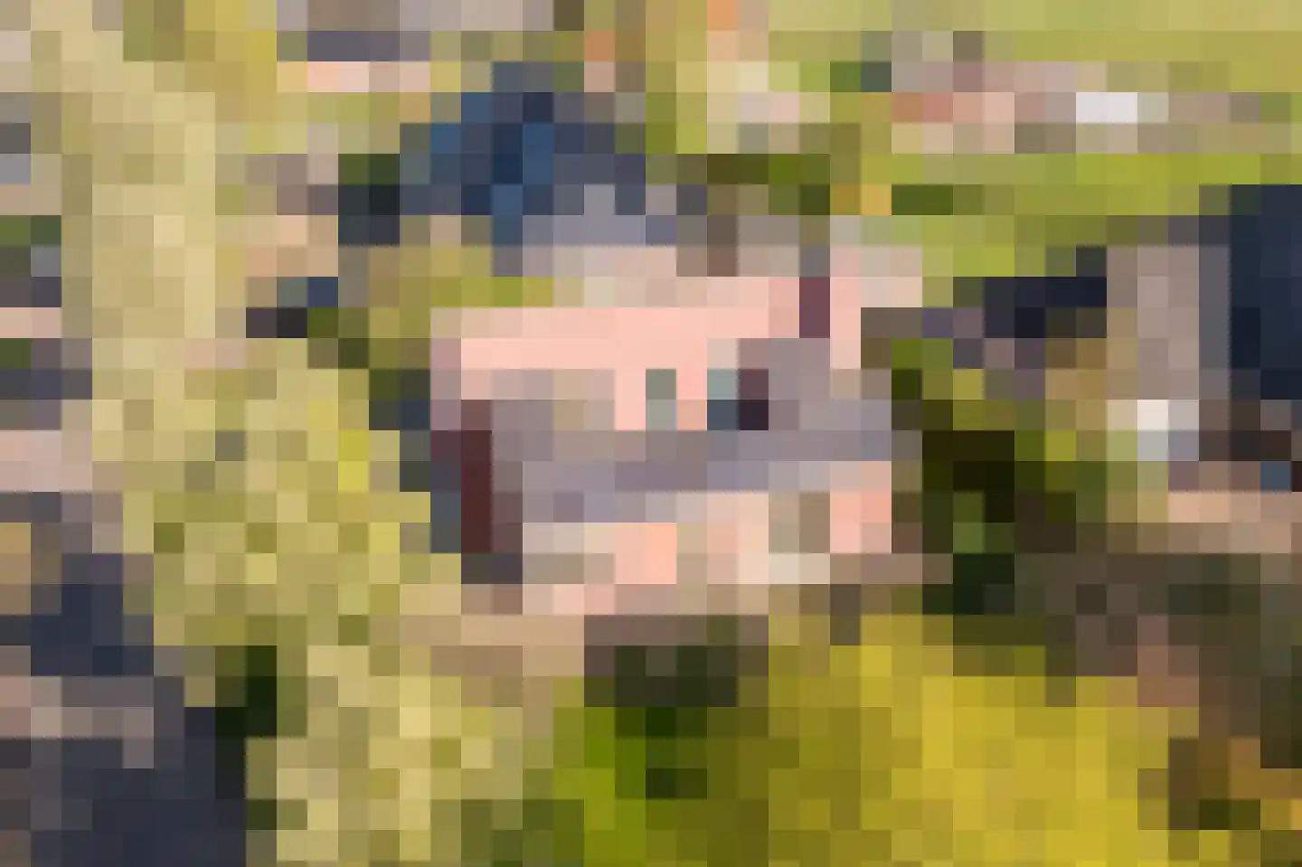 Pastoor Coendershôf 3 Bakhuizen thumbnail 30