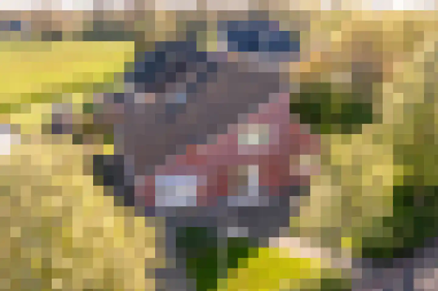 Pastoor Coendershôf 3 Bakhuizen thumbnail 31