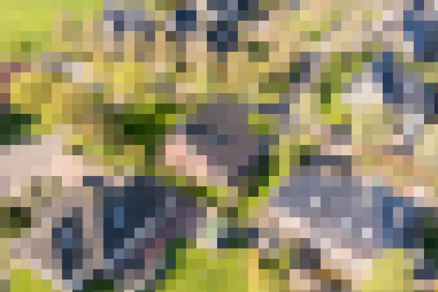 Pastoor Coendershôf 3 Bakhuizen thumbnail 33