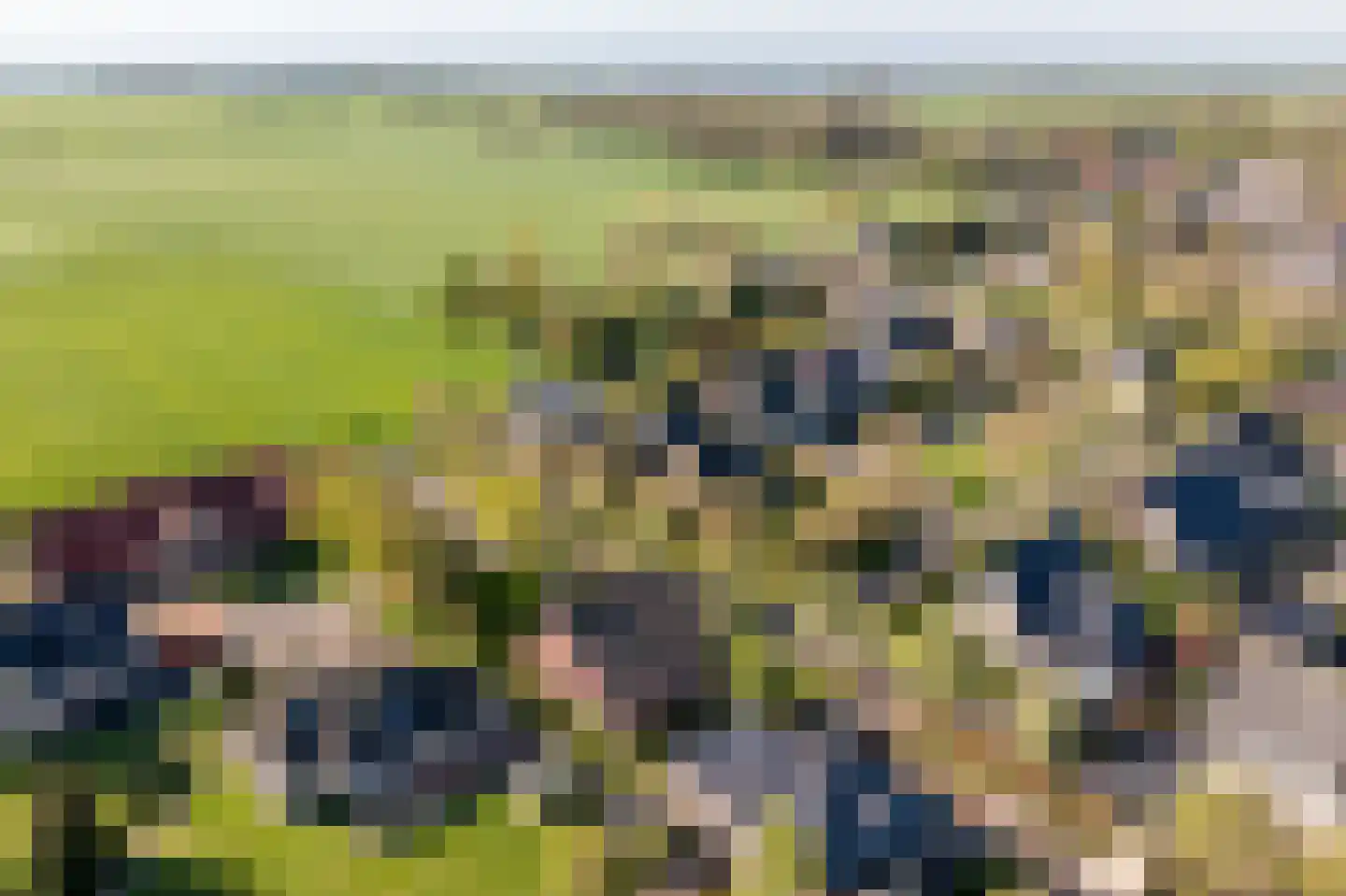 Pastoor Coendershôf 3 Bakhuizen thumbnail 34