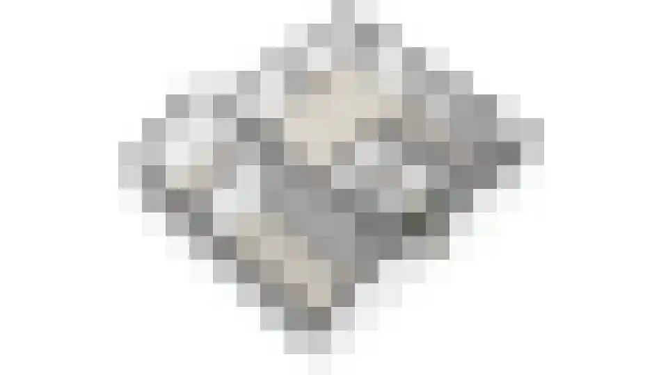 Pastoor Coendershôf 3 Bakhuizen thumbnail 36