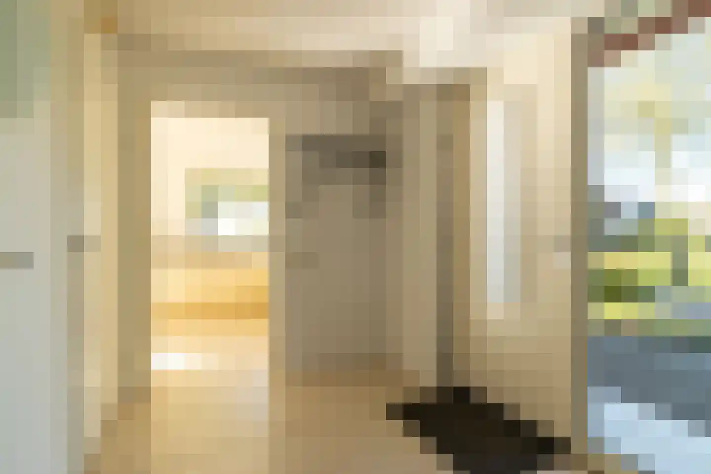 Pastoor Coendershôf 3 Bakhuizen thumbnail 6