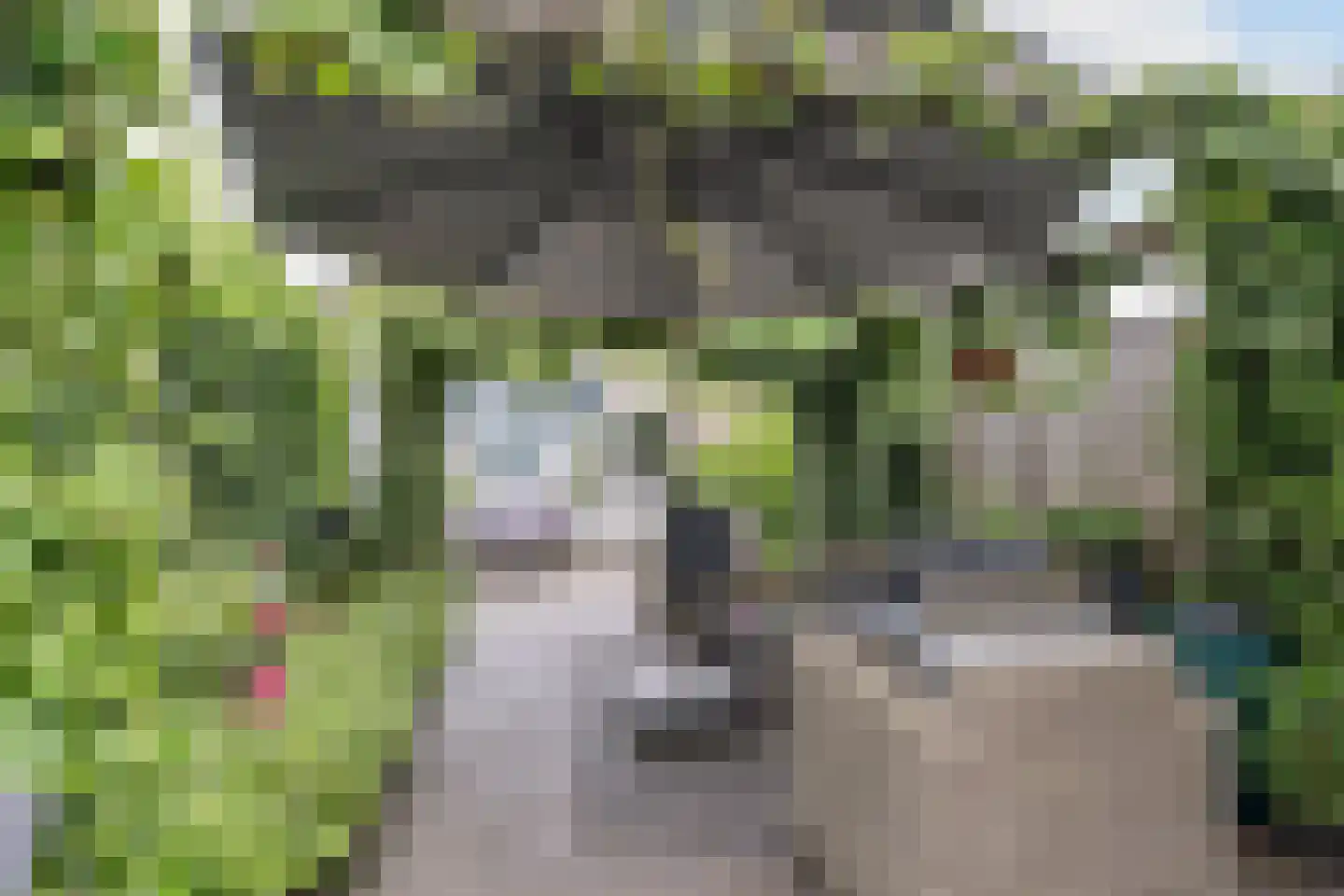 Pastoor Conincxstraat 6 Gilze thumbnail 19