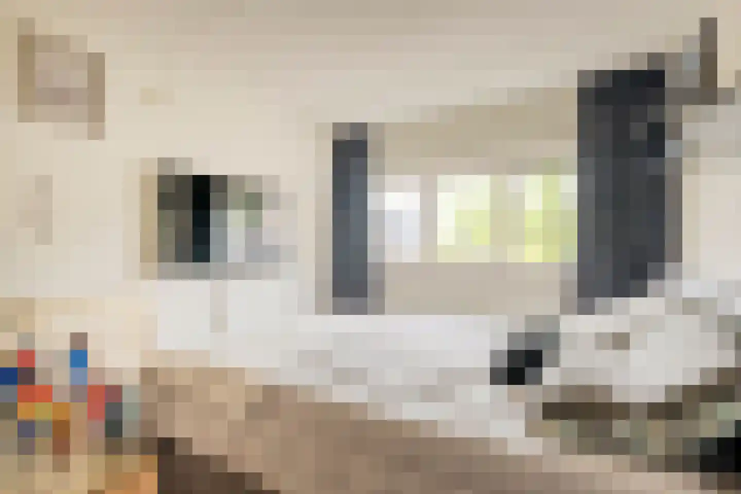 Pastoor Conincxstraat 6 Gilze thumbnail 26