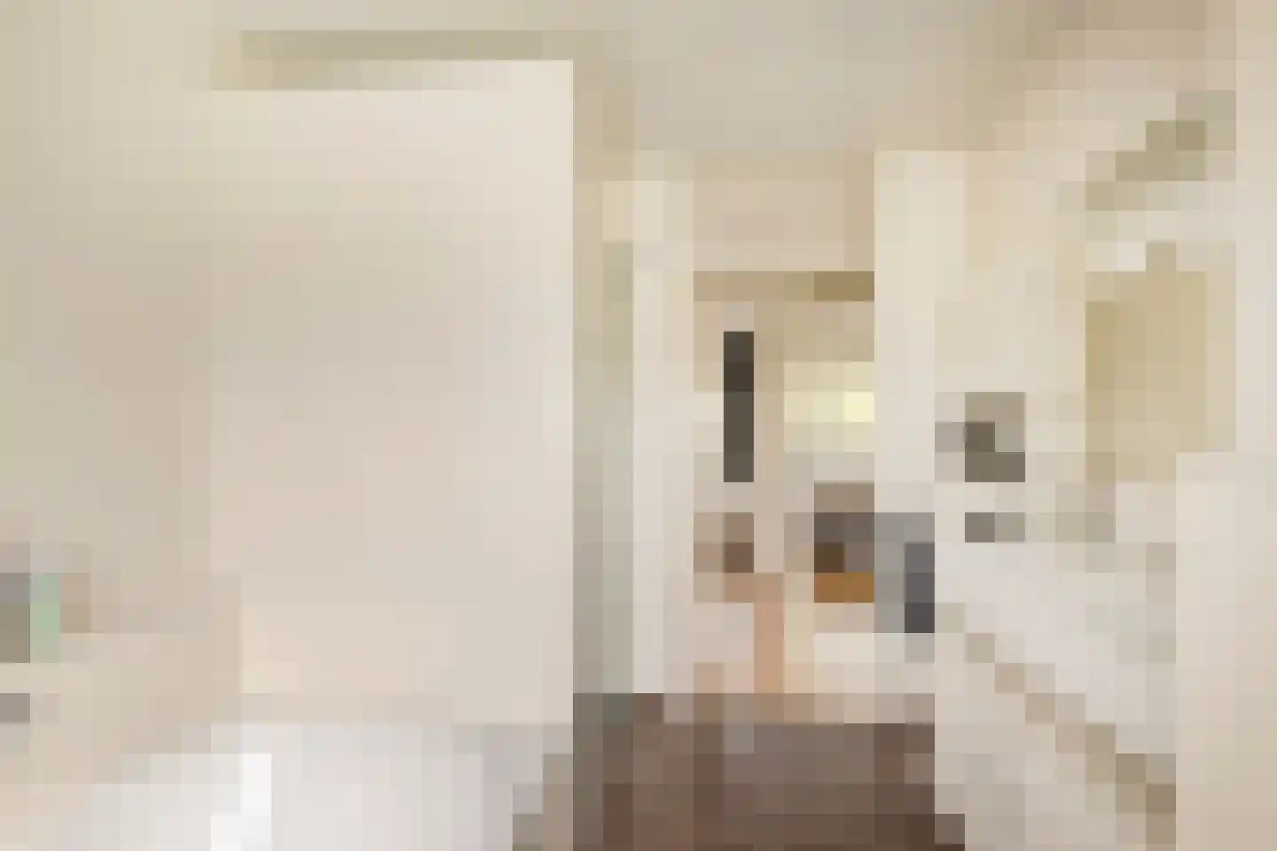 Pastoor Conincxstraat 6 Gilze thumbnail 33
