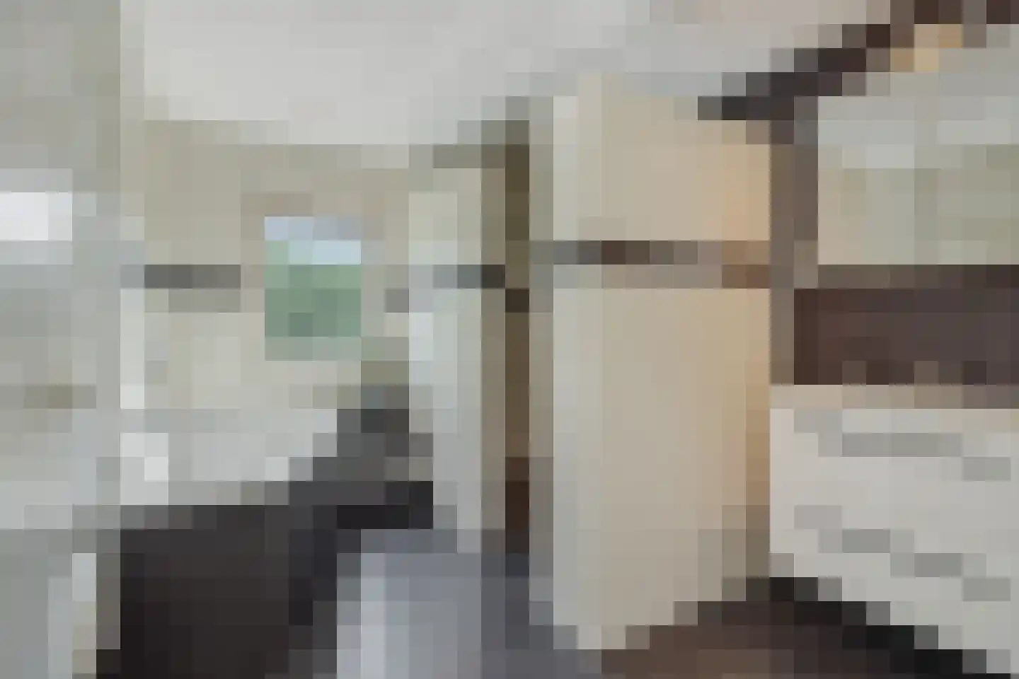 Pastoor Coolenstraat 5 Rosmalen thumbnail 19