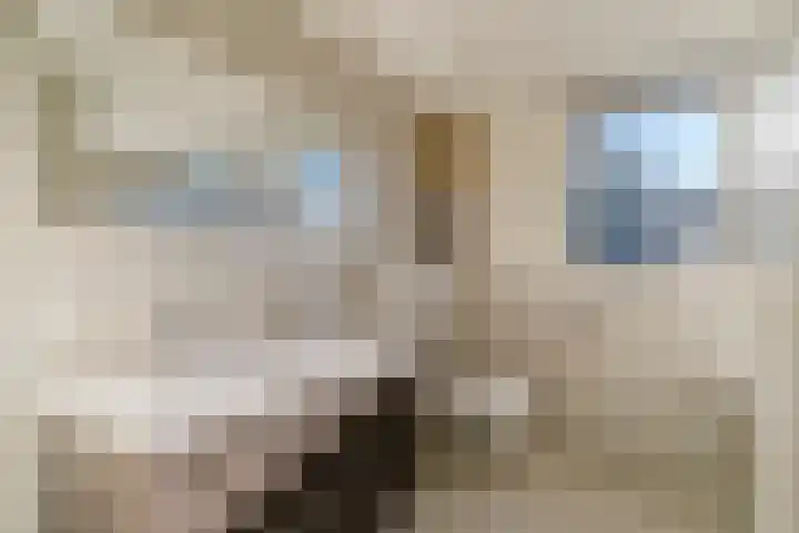 Pastoor Coomansstraat 19 Gilze thumbnail 64