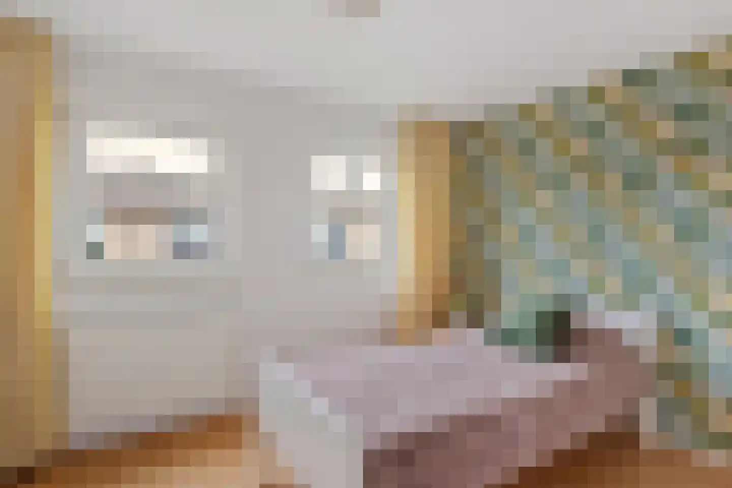 Pastoor Cramerstraat 25 Geesteren thumbnail 10