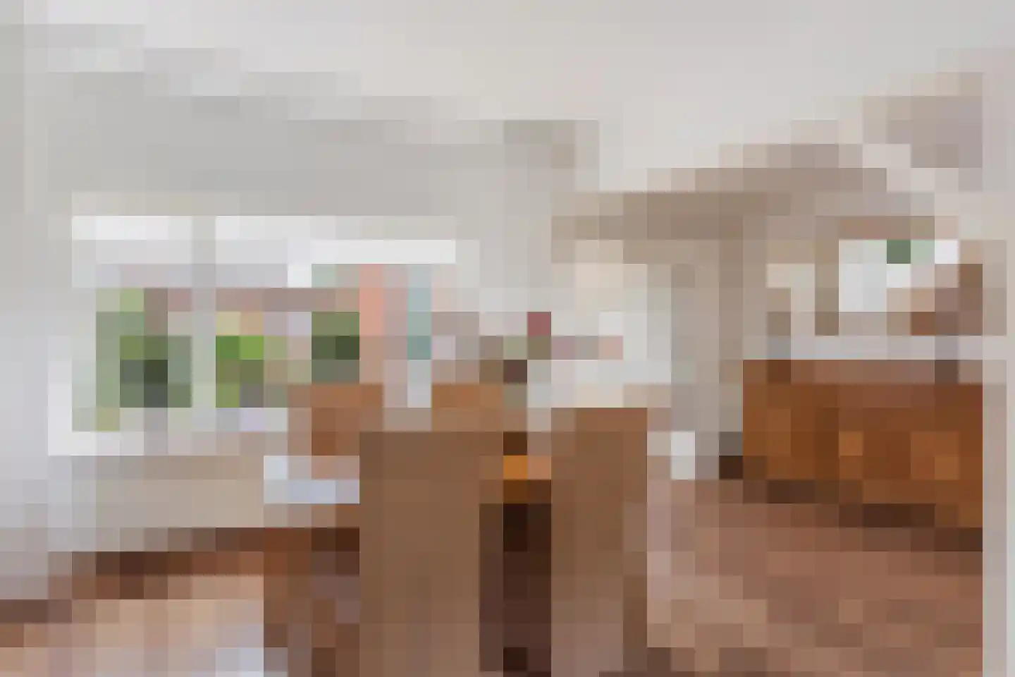 Pastoor Cramerstraat 25 Geesteren thumbnail 6