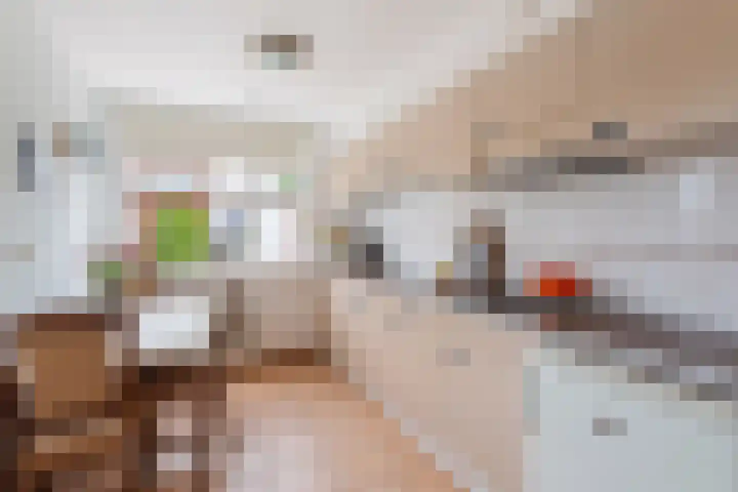 Pastoor Cramerstraat 25 Geesteren thumbnail 7