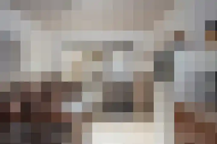 Pastoor Cramerstraat 7 Geesteren thumbnail 10