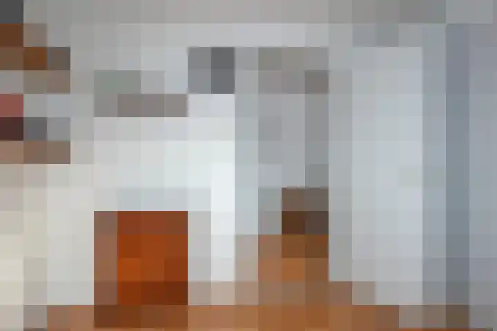 Pastoor Cramerstraat 7 Geesteren thumbnail 12