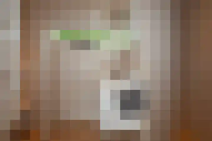 Pastoor Cramerstraat 7 Geesteren thumbnail 18