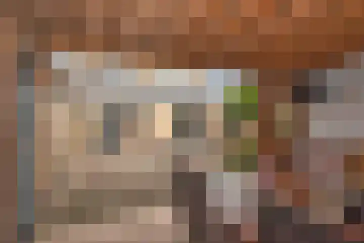 Pastoor Cramerstraat 7 Geesteren thumbnail 28