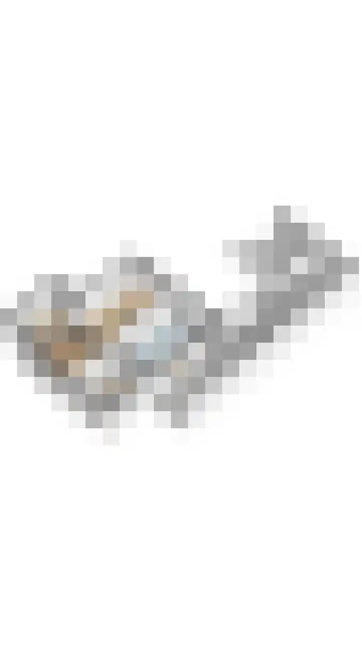 Pastoor Cramerstraat 7 Geesteren thumbnail 35