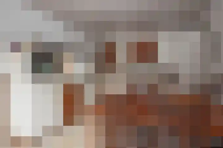 Pastoor Cramerstraat 7 Geesteren thumbnail 8