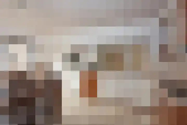 Pastoor Cramerstraat 7 Geesteren thumbnail 9