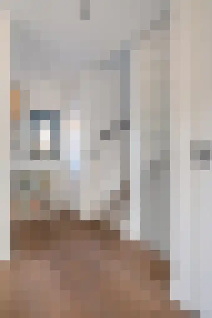 Pastoor de Beeckstraat 1 Goirle thumbnail 13