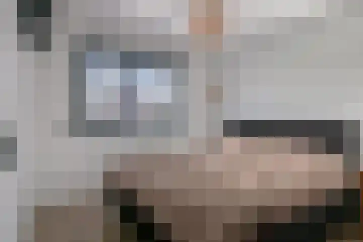 Pastoor de Beeckstraat 1 Goirle thumbnail 16