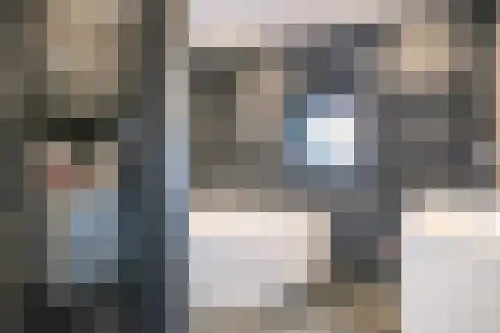 Pastoor de Beeckstraat 1 Goirle thumbnail 20