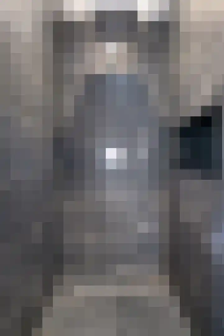 Pastoor de Beeckstraat 1 Goirle thumbnail 22