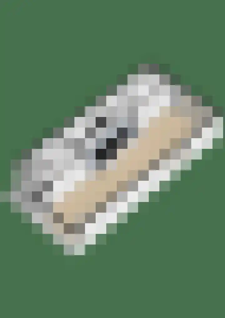 Pastoor de Beeckstraat 1 Goirle thumbnail 33