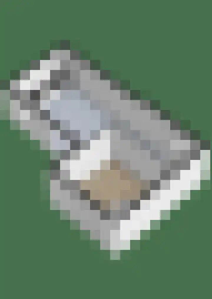 Pastoor de Beeckstraat 1 Goirle thumbnail 35