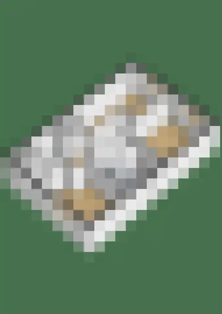 Pastoor de Beeckstraat 1 Goirle thumbnail 37