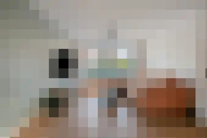 Pastoor de Beeckstraat 1 Goirle thumbnail 4