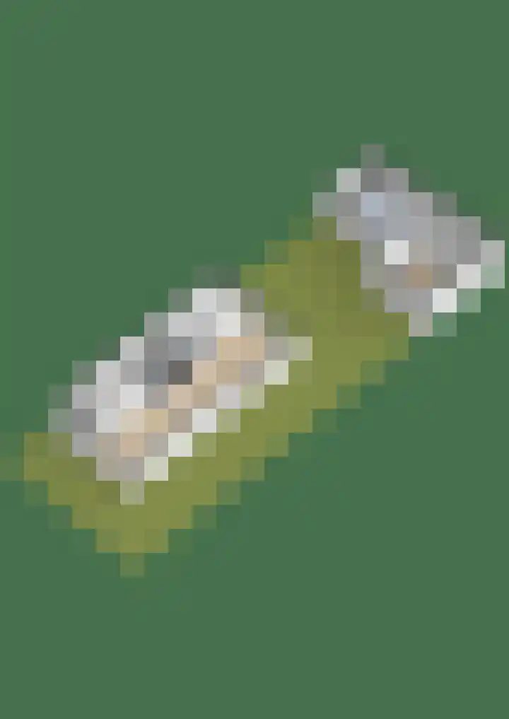 Pastoor de Beeckstraat 1 Goirle thumbnail 41