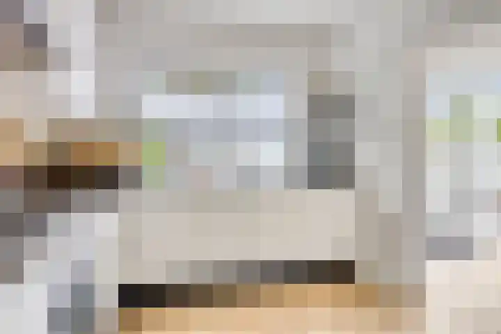 Pastoor de Beeckstraat 17 Goirle thumbnail 11