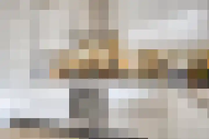 Pastoor de Beeckstraat 17 Goirle thumbnail 12