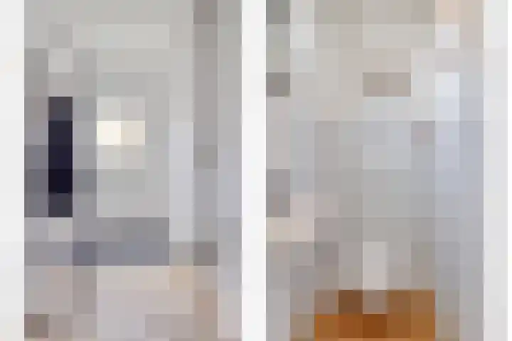 Pastoor de Beeckstraat 17 Goirle thumbnail 14