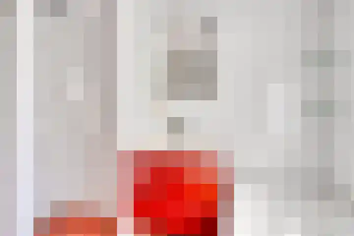 Pastoor de Beeckstraat 17 Goirle thumbnail 20