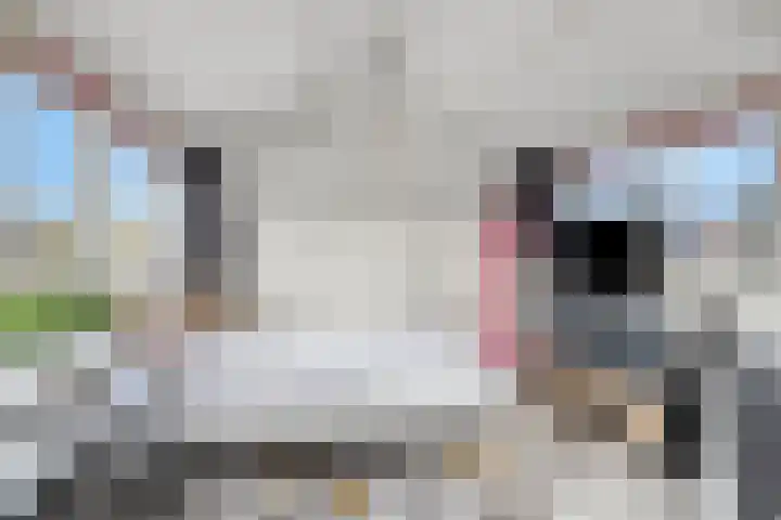 Pastoor de Beeckstraat 17 Goirle thumbnail 23