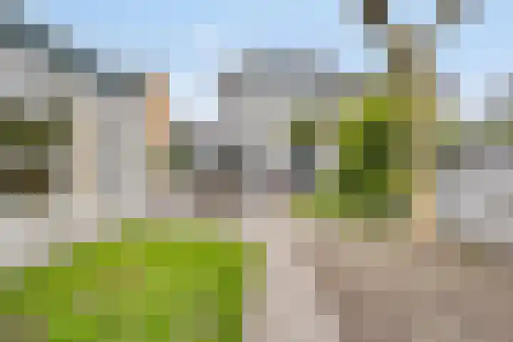 Pastoor de Beeckstraat 17 Goirle thumbnail 28