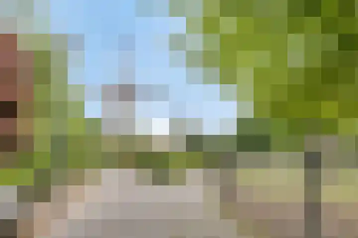 Pastoor de Beeckstraat 17 Goirle thumbnail 33