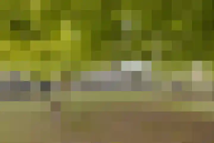 Pastoor de Beeckstraat 17 Goirle thumbnail 34