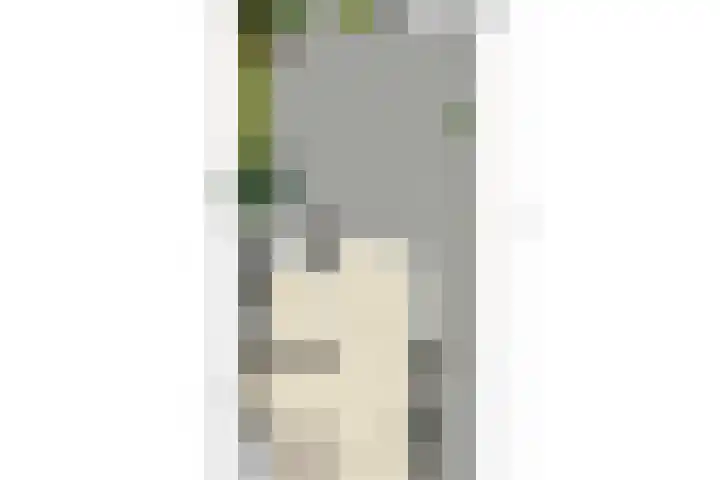 Pastoor de Beeckstraat 17 Goirle thumbnail 39