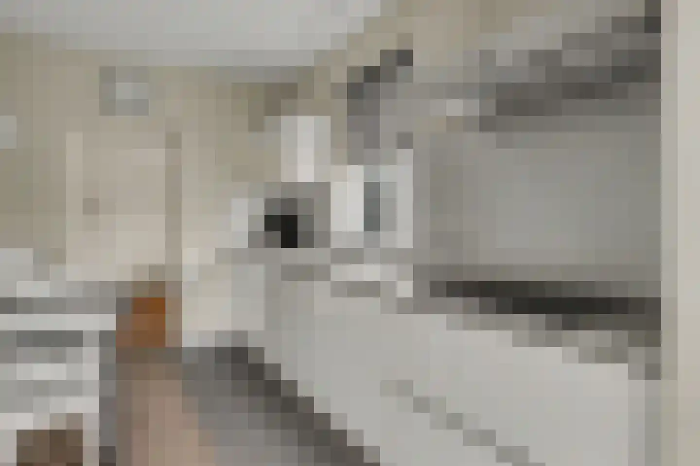Pastoor de Beeckstraat 19 Goirle thumbnail 10